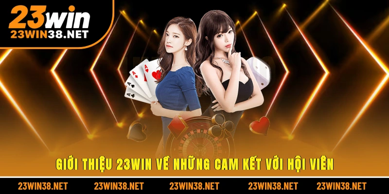 Giới thiệu 23win về những cam kết với hội viên